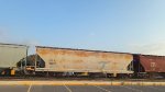 CCLX 95041